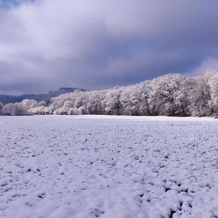 杜柏Cent Trente住宿加早餐旅馆 外观 照片